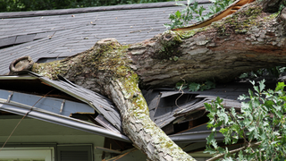 Restoring stability: home insurance as a safety net for financial stress during disasters